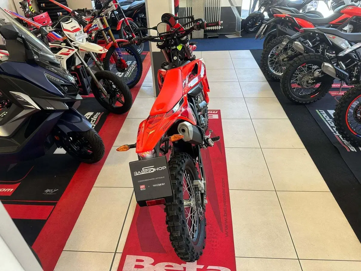 Betamotor RR 125 4T Enduro T (2023 - 24) (3)