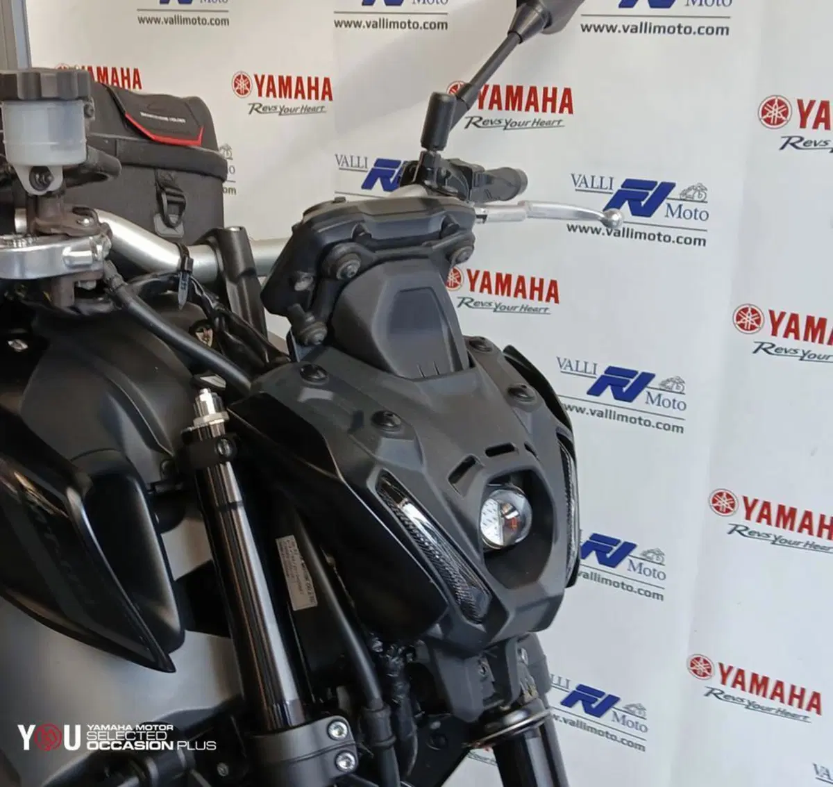Yamaha MT-09 (2021 - 23) (4)