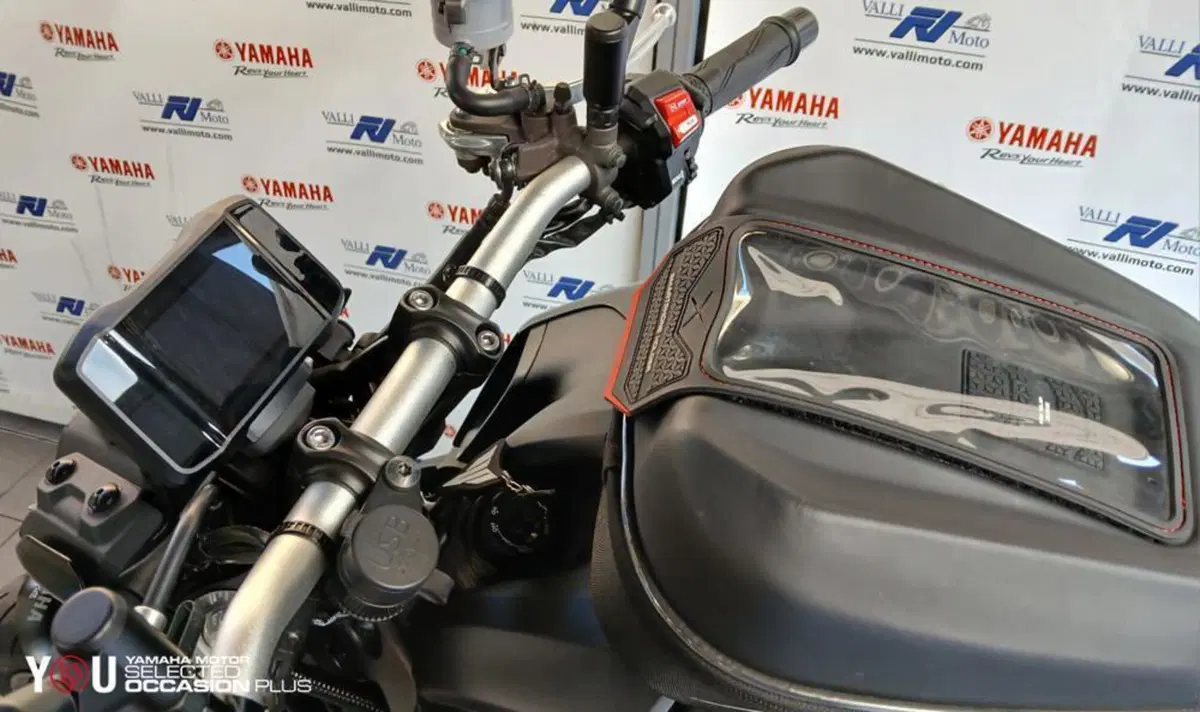 Yamaha MT-09 (2021 - 23) (6)