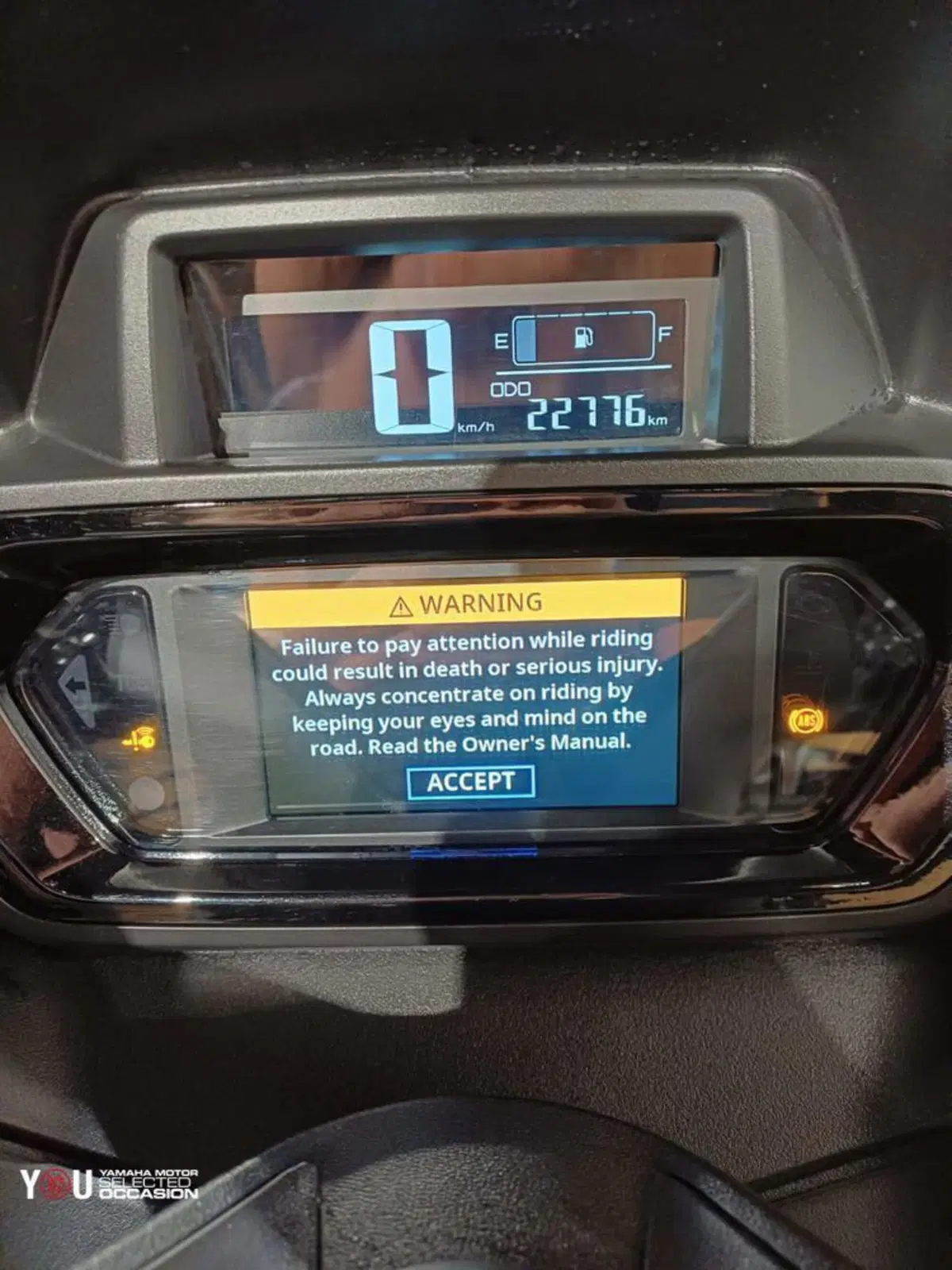 Yamaha X-Max 300 (2021 - 24) (2)