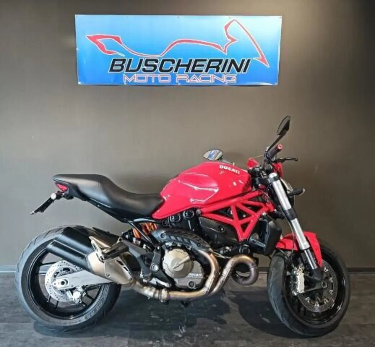 Ducati Monster 821 ABS (2014 - 17) (11)