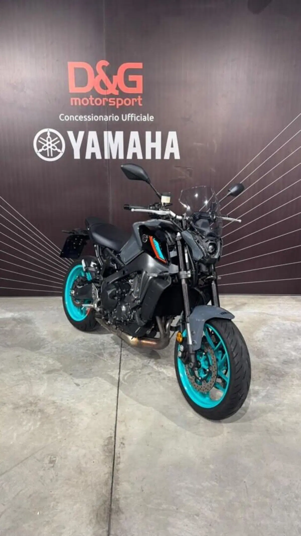 Yamaha MT-09 (2021 - 23) (4)