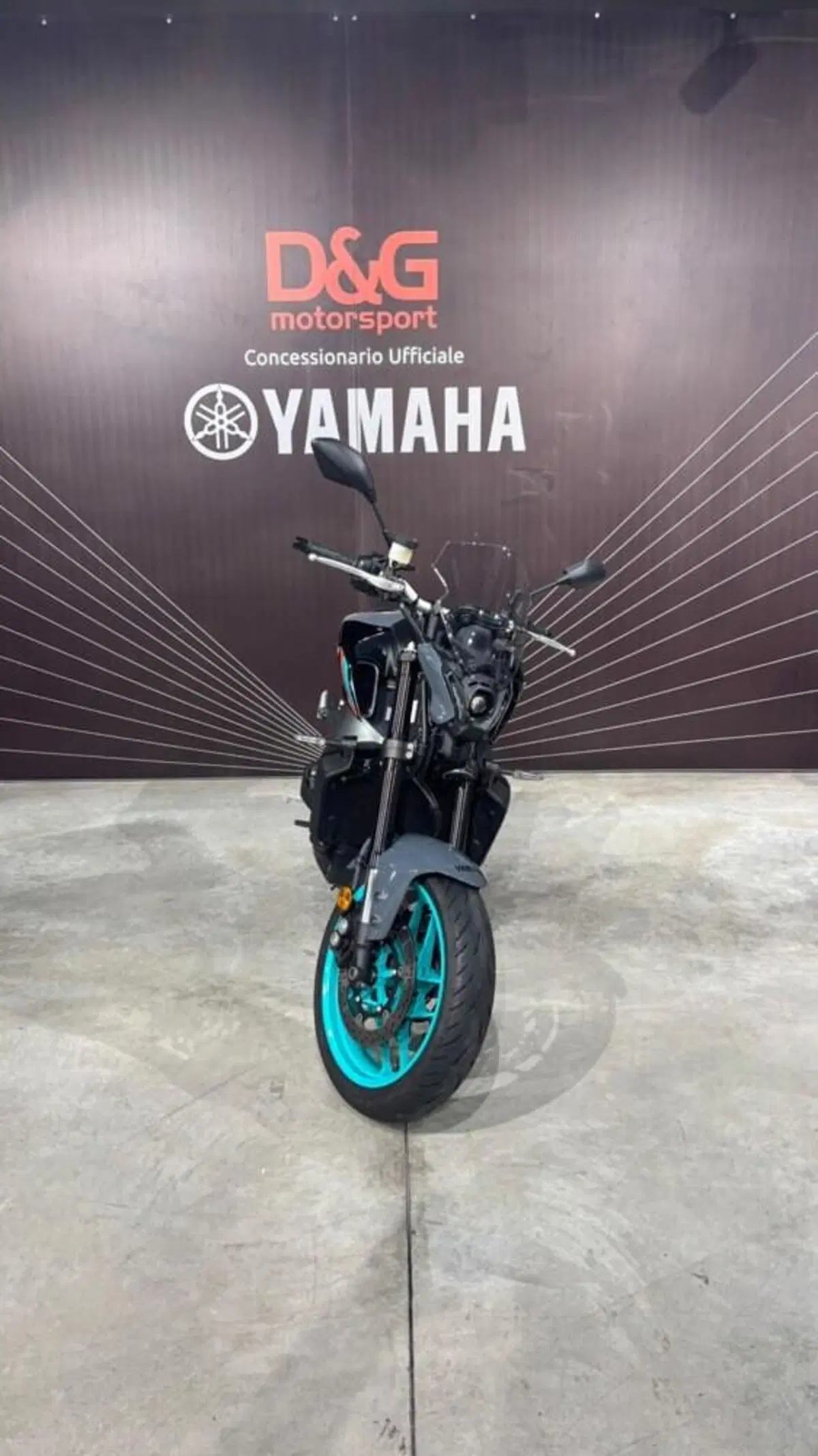 Yamaha MT-09 (2021 - 23) (5)