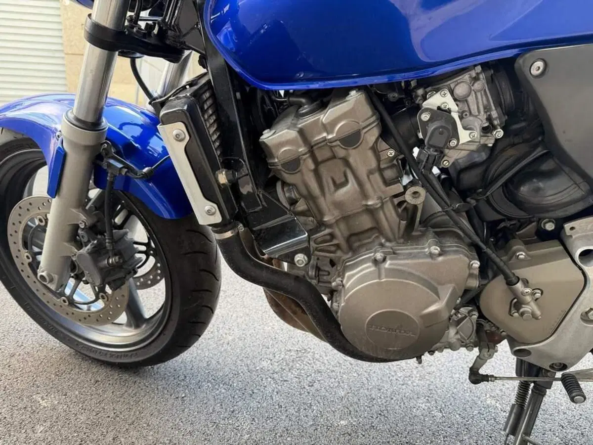 Honda Hornet 600 (2000 - 02) (9)