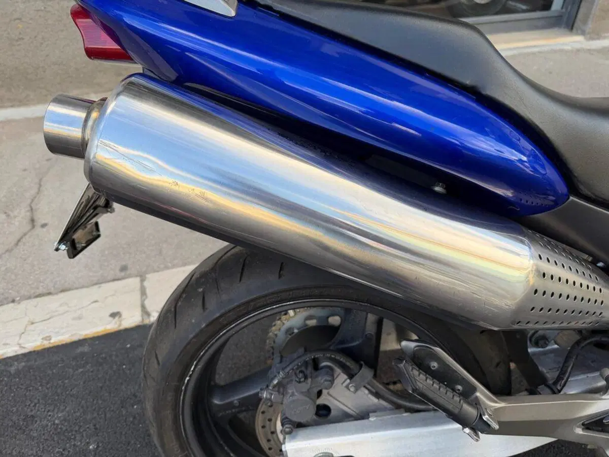 Honda Hornet 600 (2000 - 02) (7)