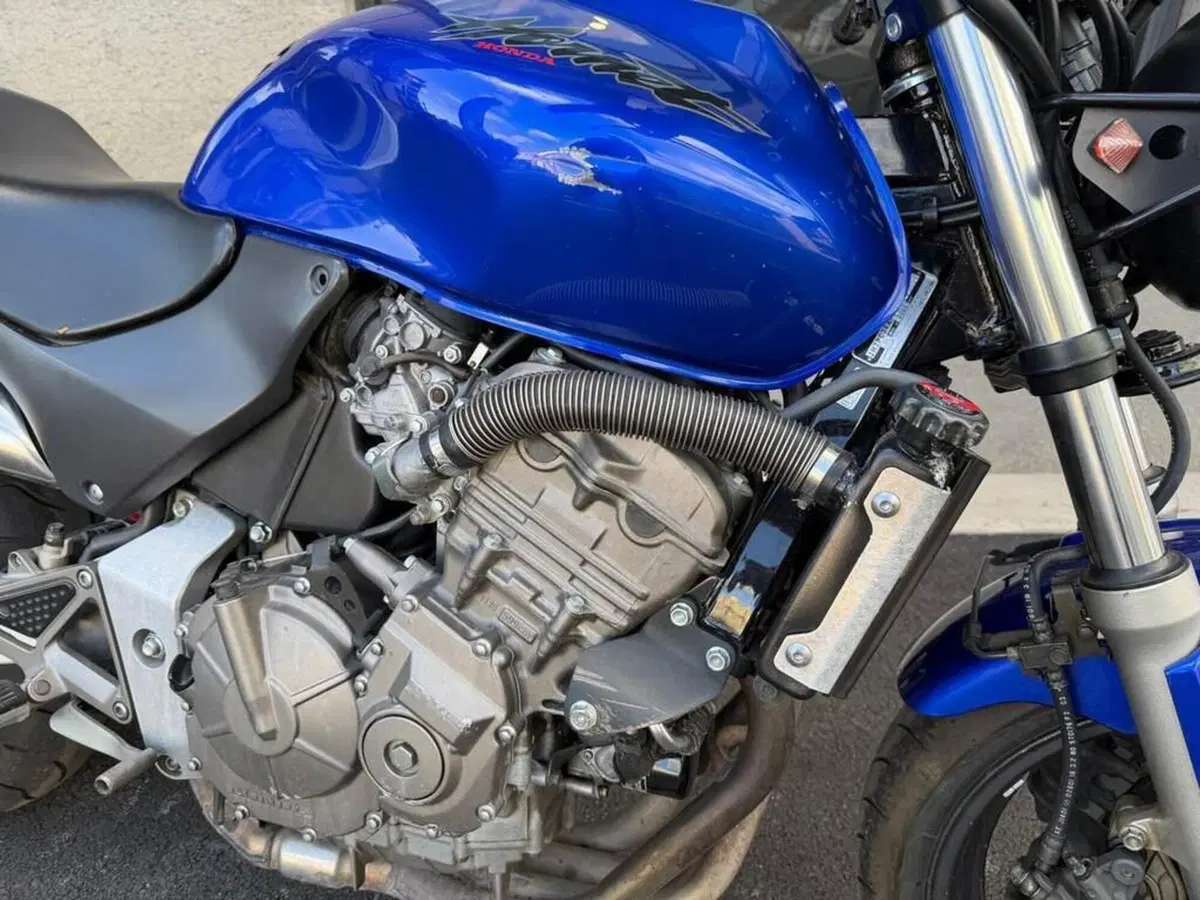 Honda Hornet 600 (2000 - 02) (5)