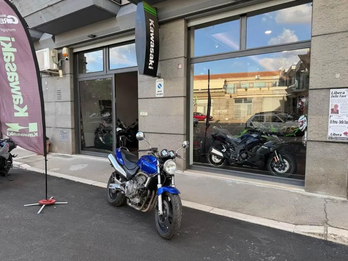 Honda Hornet 600 (2000 - 02)