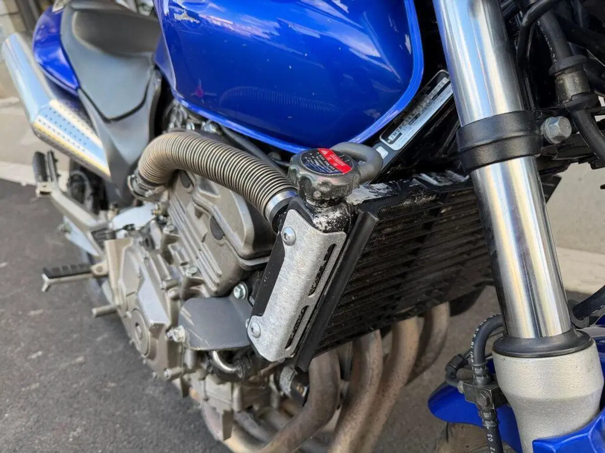 Honda Hornet 600 (2000 - 02) (6)