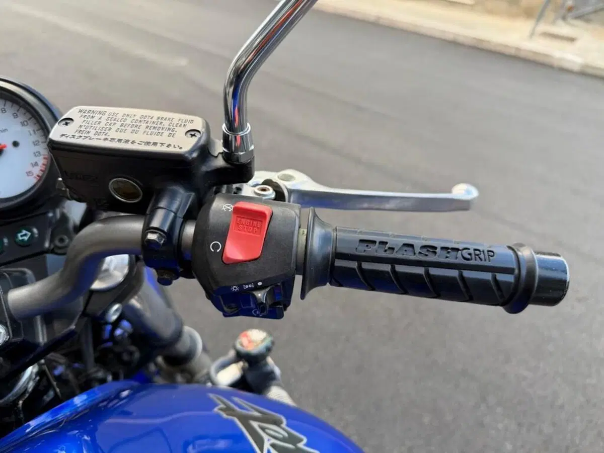 Honda Hornet 600 (2000 - 02) (13)