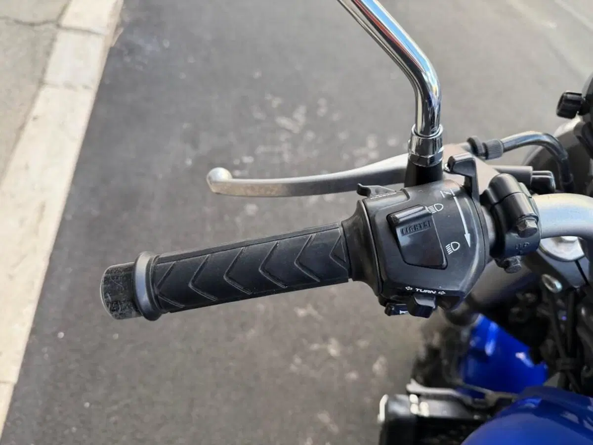 Honda Hornet 600 (2000 - 02) (11)