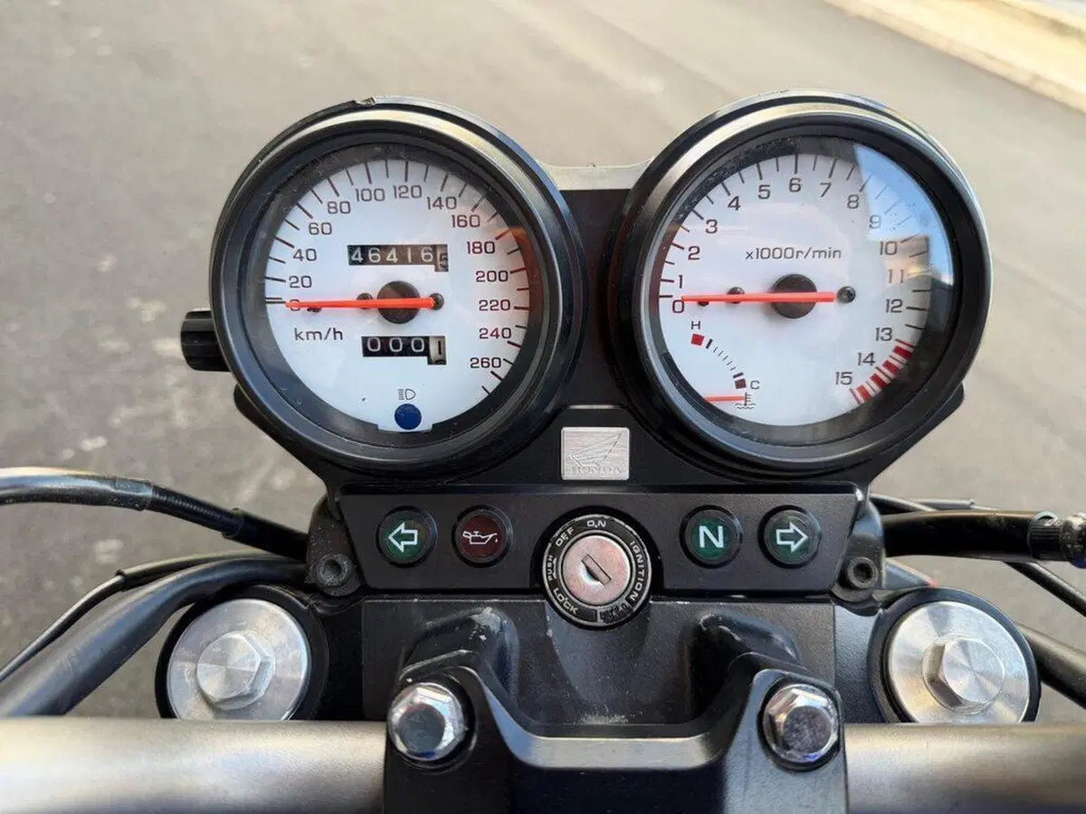 Honda Hornet 600 (2000 - 02) (12)
