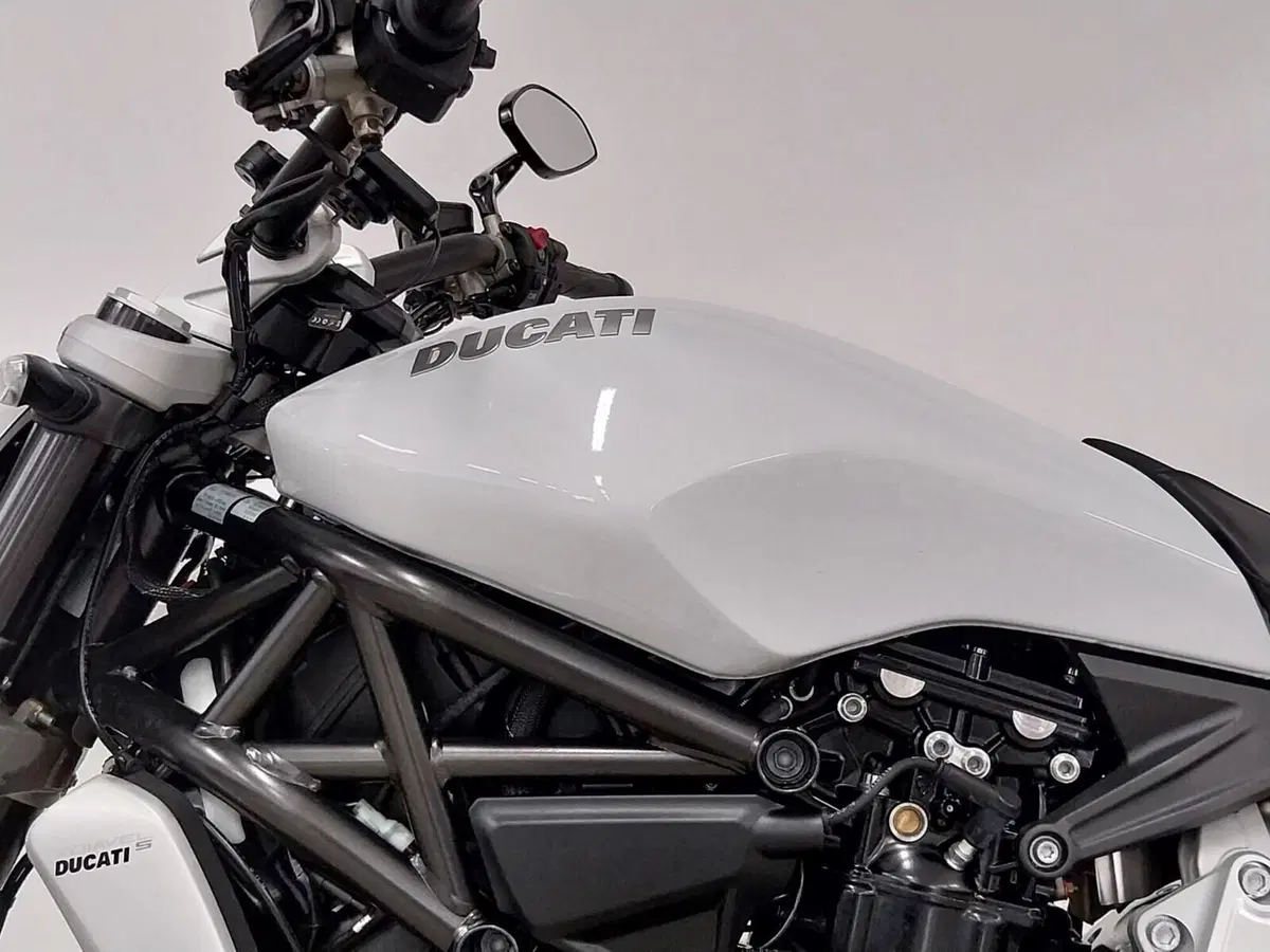 Ducati XDiavel 1262 S (2016 - 20) (15)