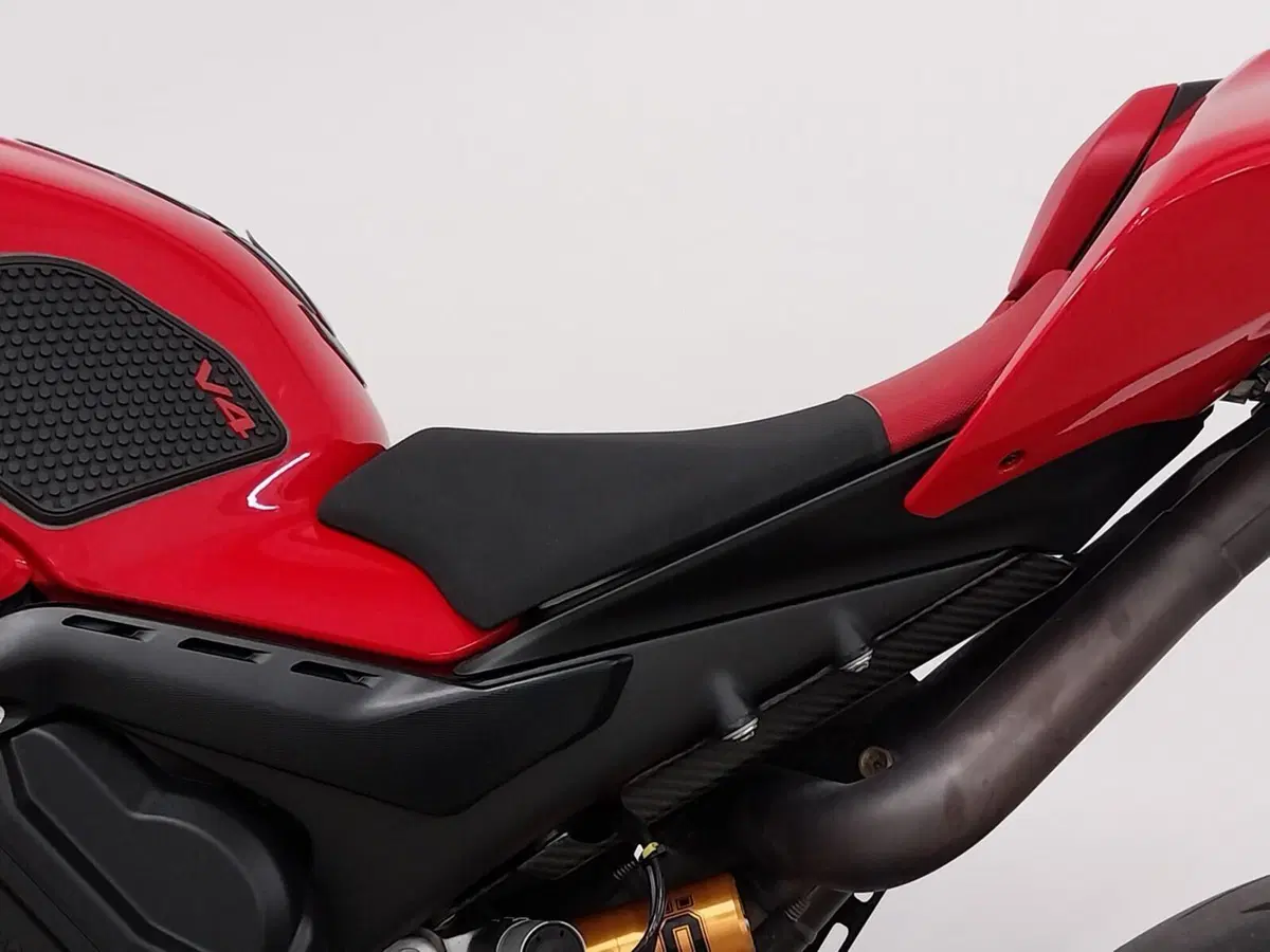 Ducati Panigale V4 S (2022 - 24) (16)
