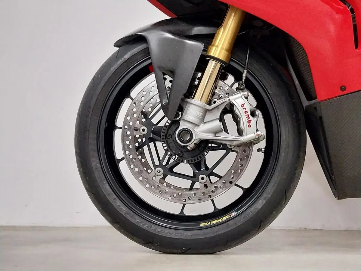 Ducati Panigale V4 S (2022 - 24) (18)