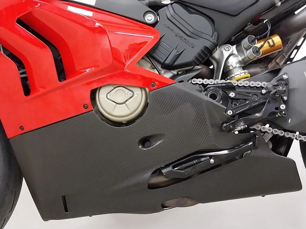 Ducati Panigale V4 S (2022 - 24) (19)