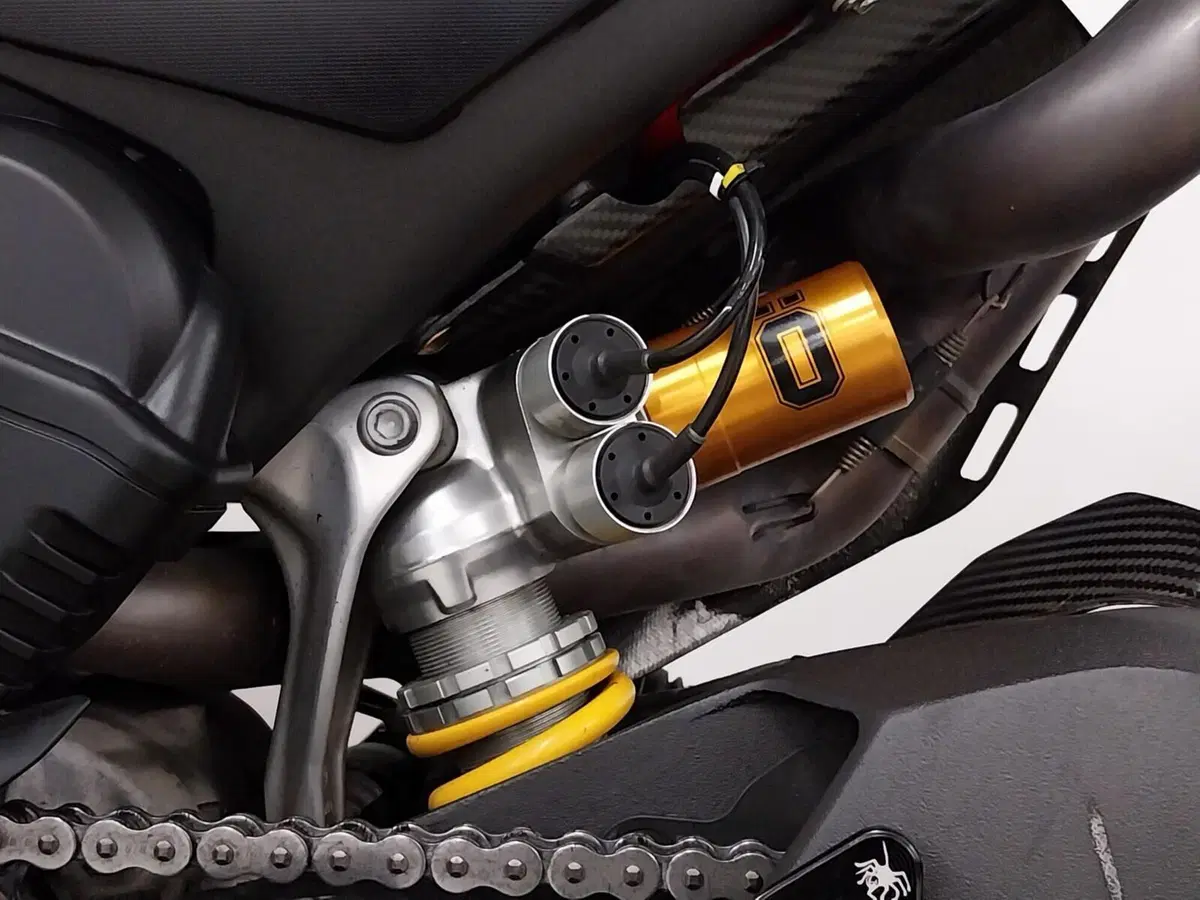 Ducati Panigale V4 S (2022 - 24) (20)