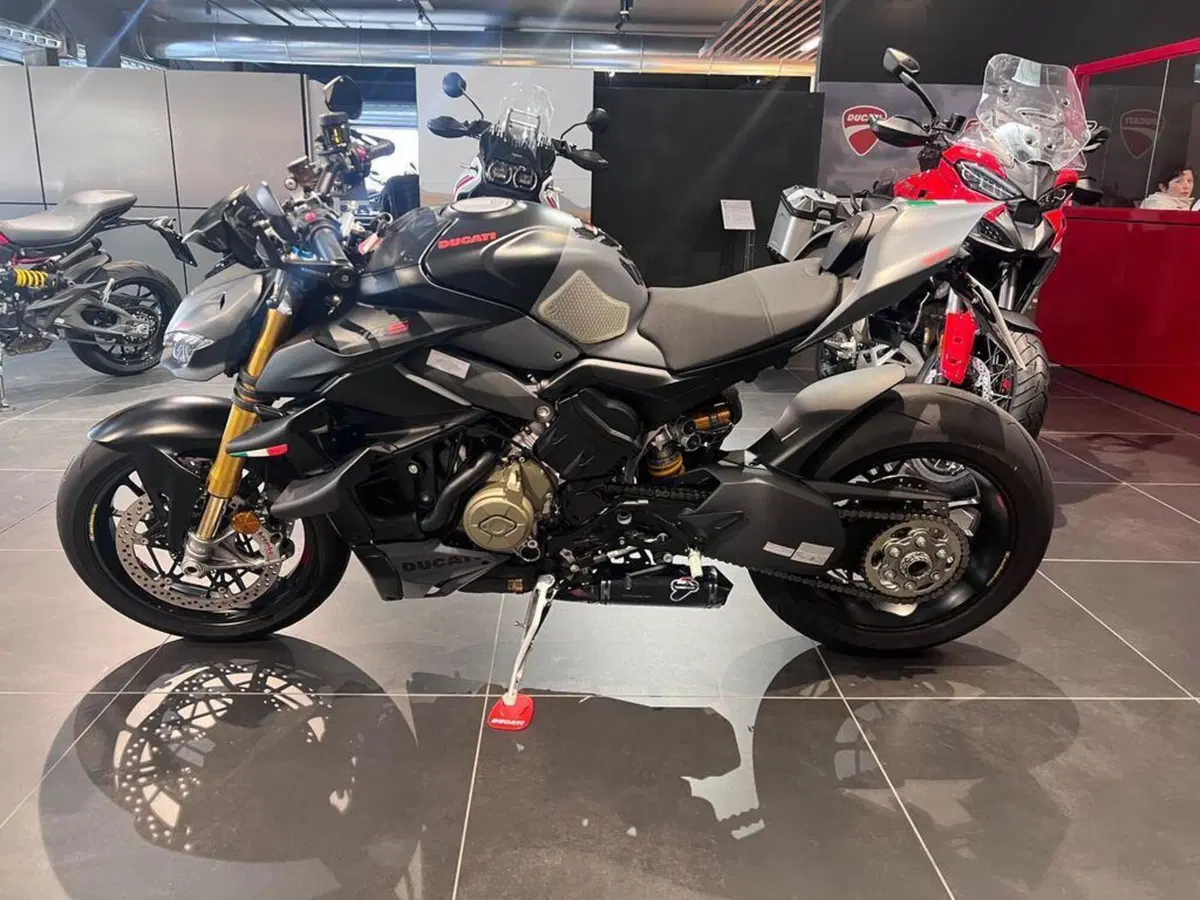 Ducati Streetfighter V4 S (2023 - 24) (4)