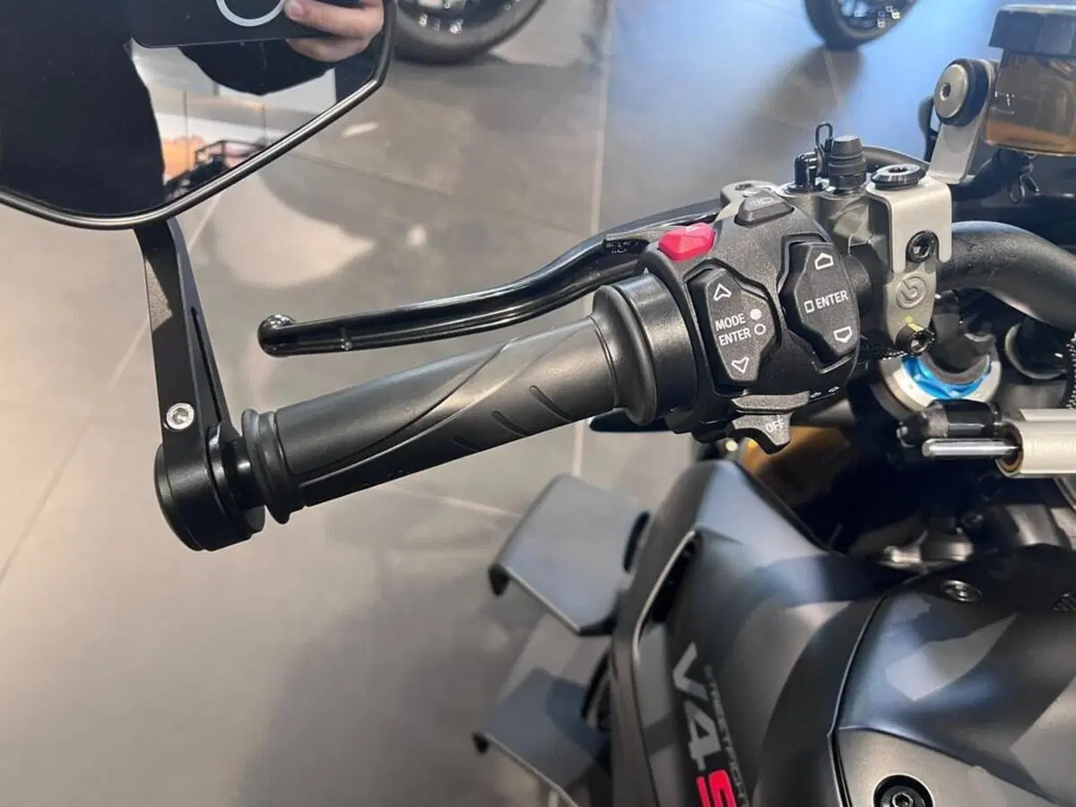 Ducati Streetfighter V4 S (2023 - 24) (11)