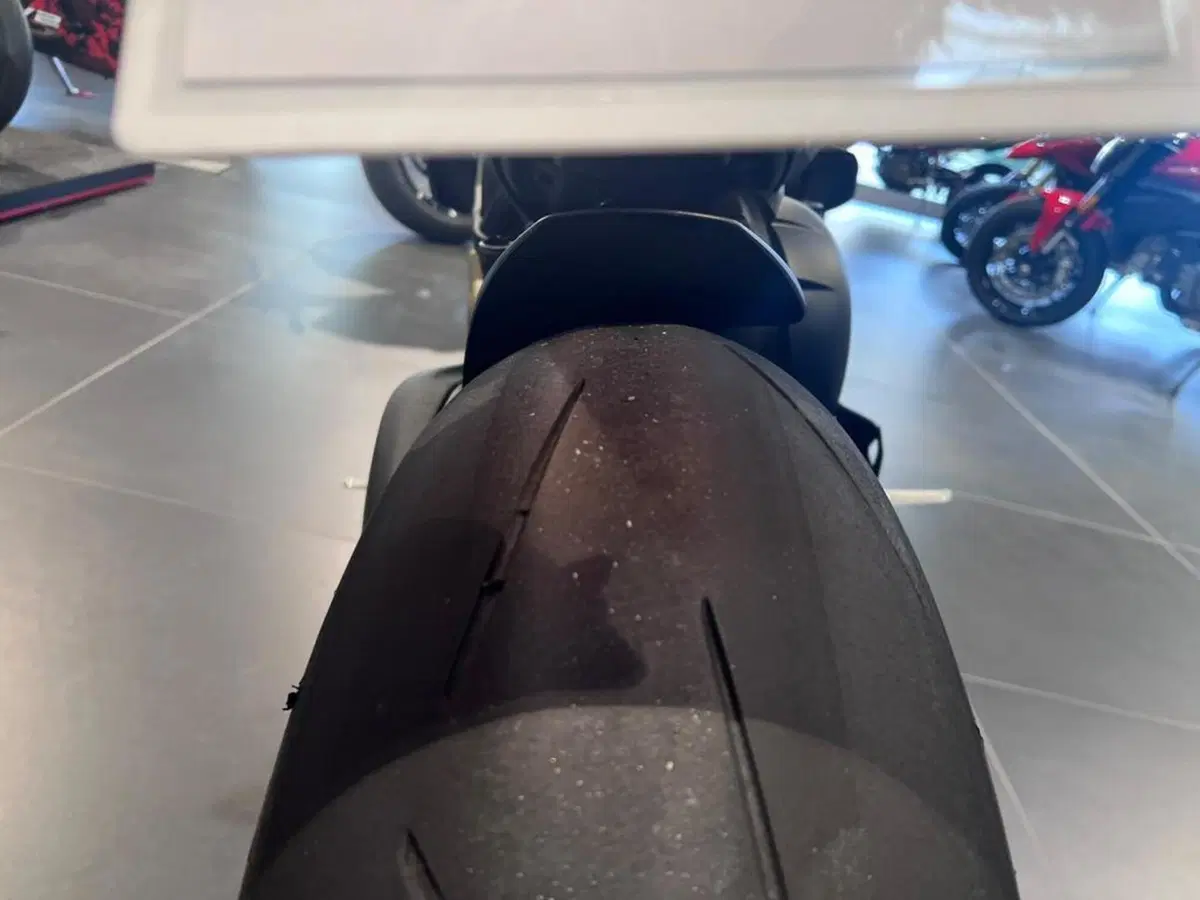 Ducati Streetfighter V4 S (2023 - 24) (14)