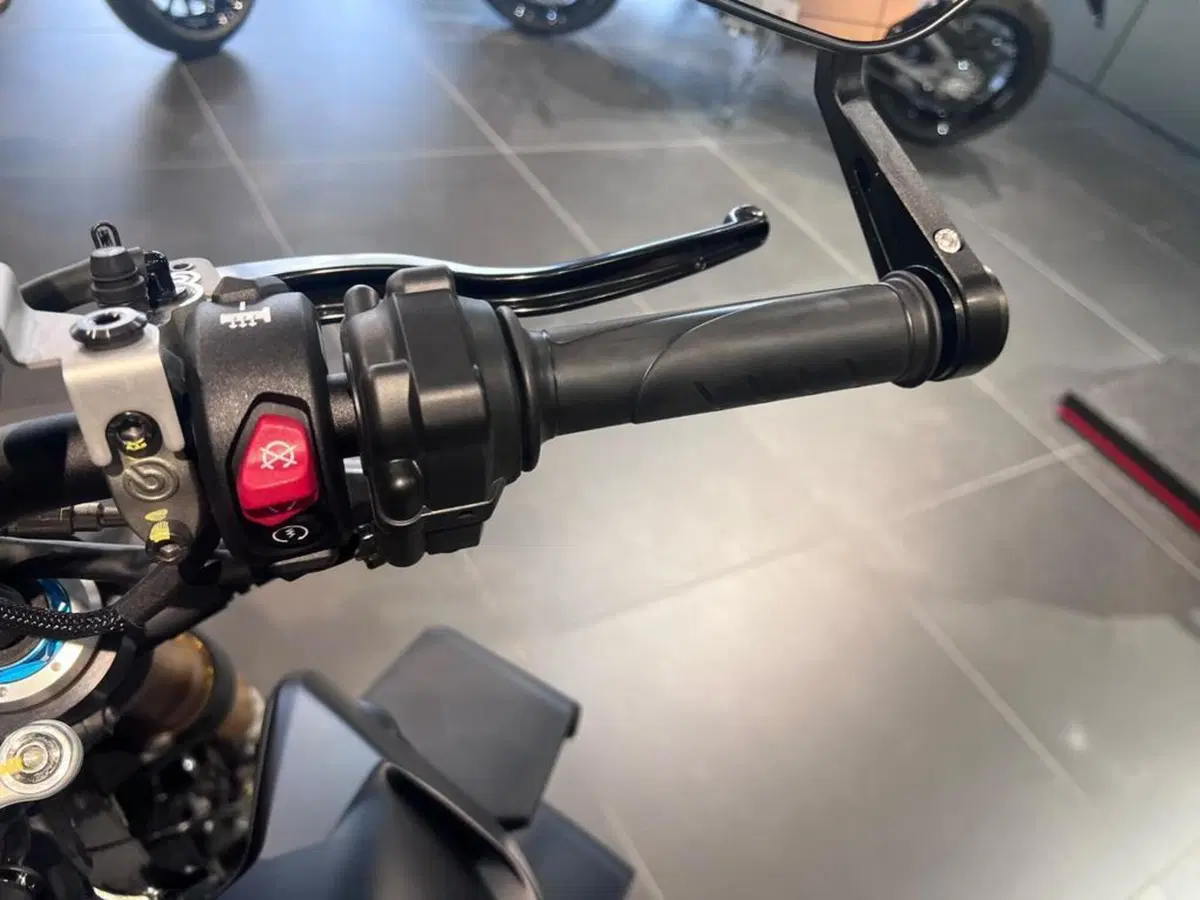Ducati Streetfighter V4 S (2023 - 24) (12)