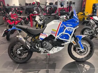 Ducati DesertX (2022 - 25) usata