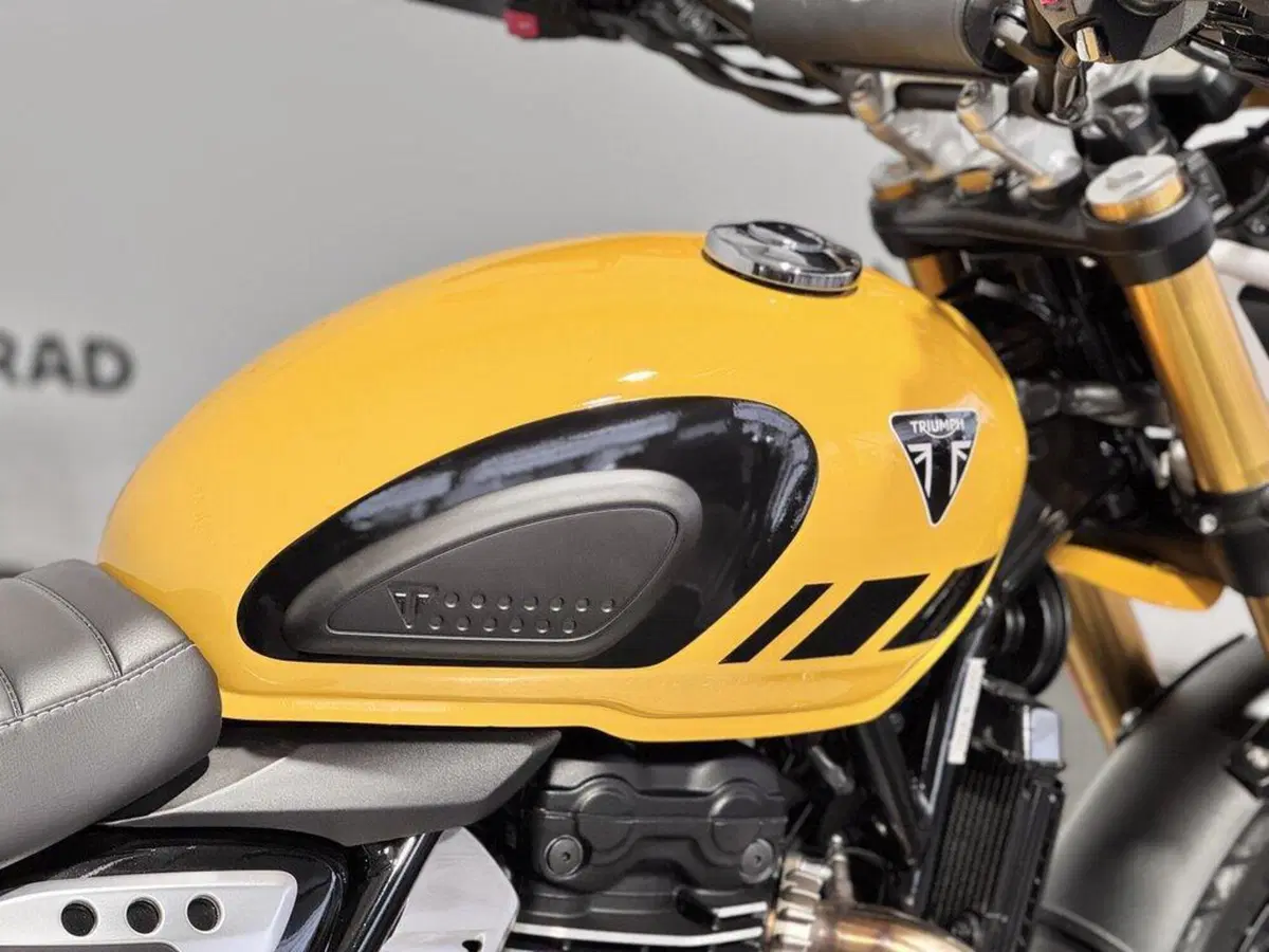 Triumph Scrambler 400 XC (2025 - 26) (14)