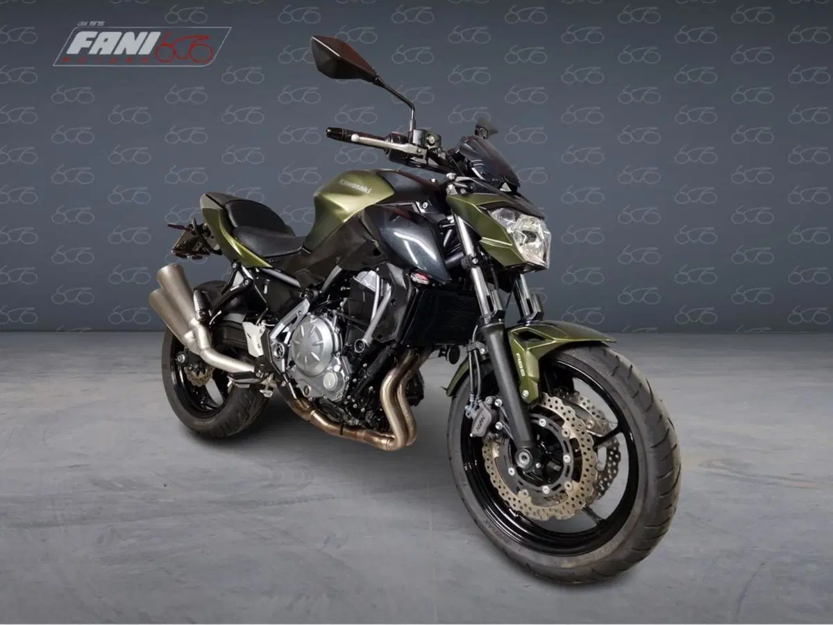 Kawasaki Z 650 (2017 - 19) (2)