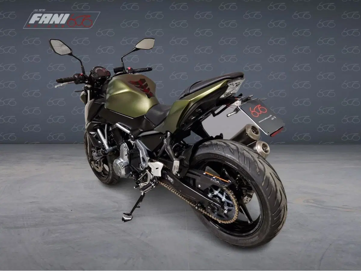Kawasaki Z 650 (2017 - 19) (5)