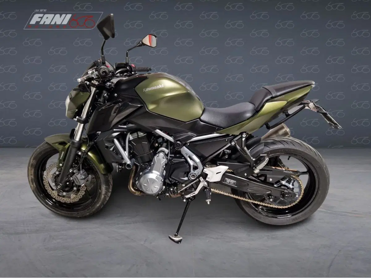 Kawasaki Z 650 (2017 - 19) (4)