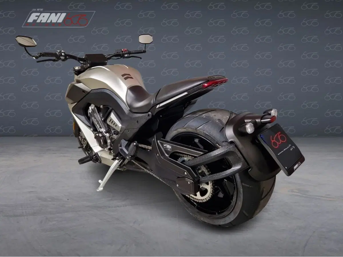 Benda Motorcycles LFC 700 (2024 - 26) (6)
