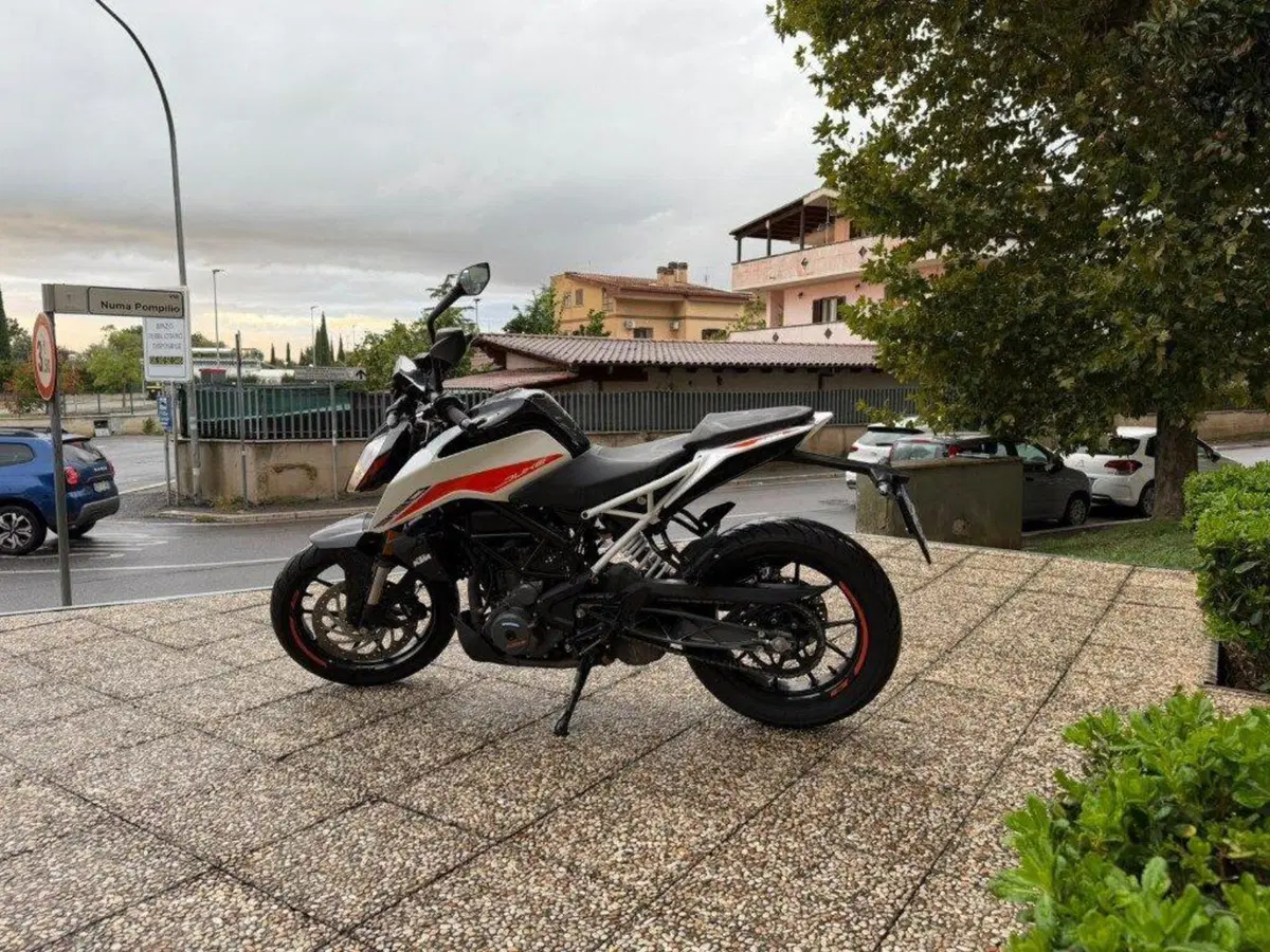 KTM 390 Duke (2021 - 23) (10)