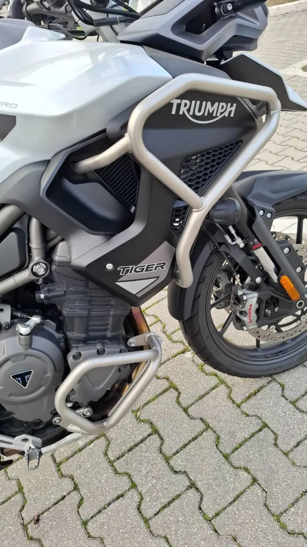 Triumph Tiger 1200 GT Pro (2022 - 23) (6)