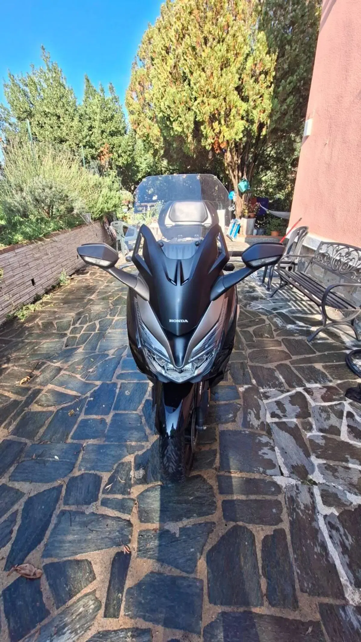 Honda Forza 350 Deluxe (2022 - 24) (3)