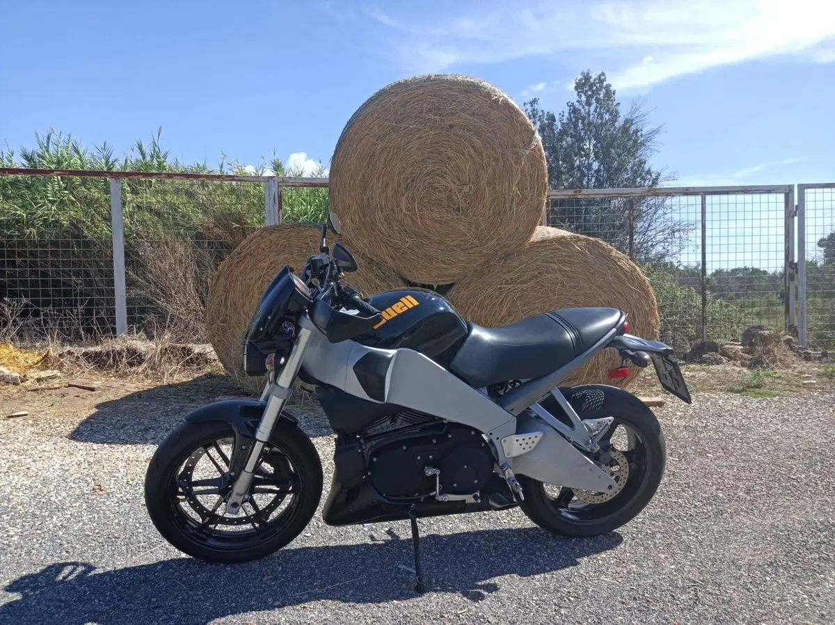 Buell Lightning CityX XB9 SX (2005 - 09) (2)