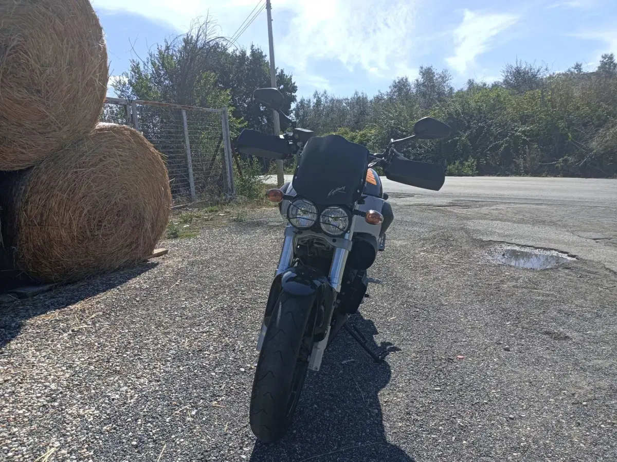 Buell Lightning CityX XB9 SX (2005 - 09) (3)
