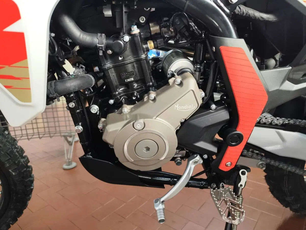 FB Mondial SMX 300 Enduro (2025 - 26) (7)