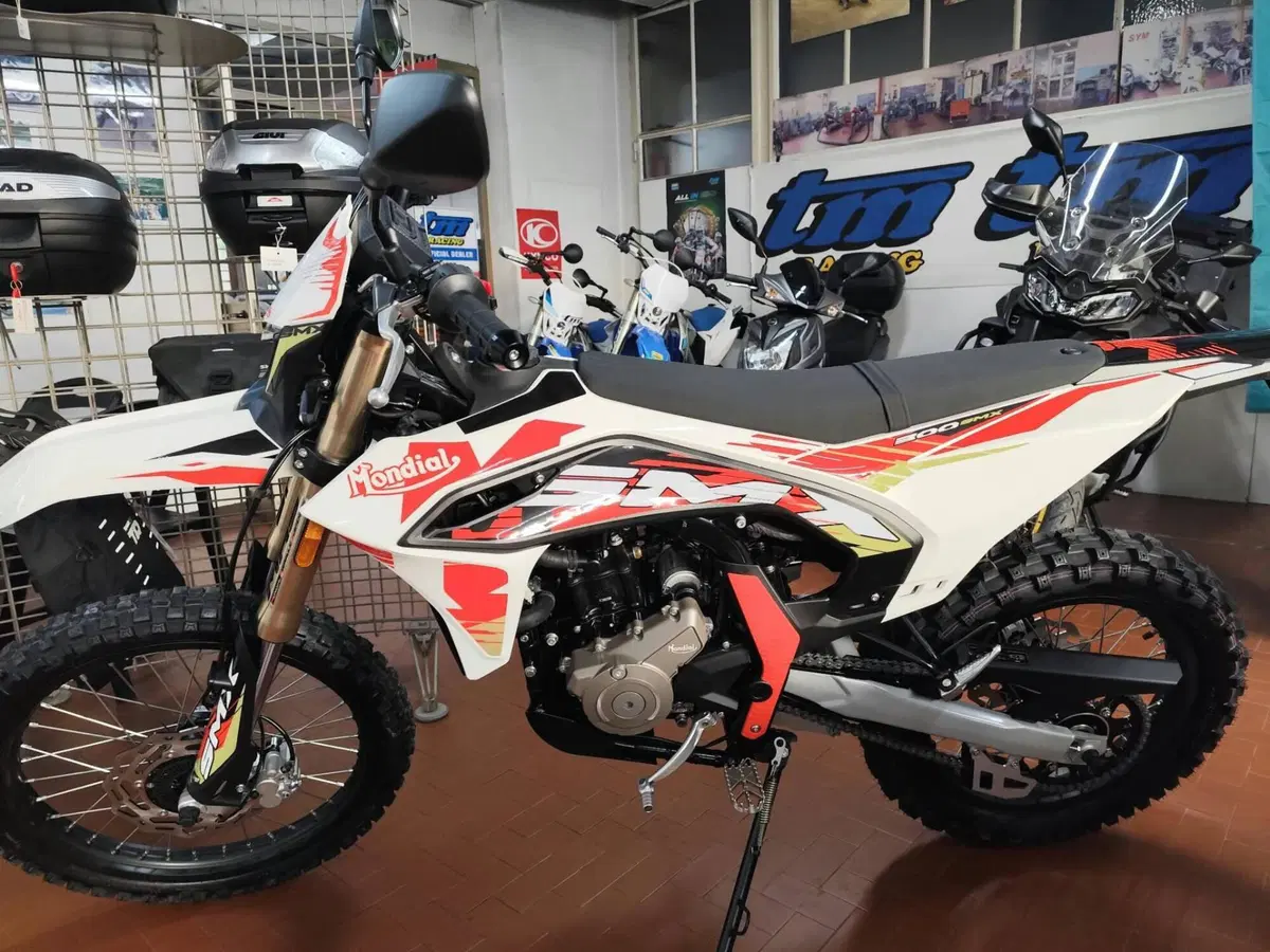 FB Mondial SMX 300 Enduro (2025 - 26) (2)