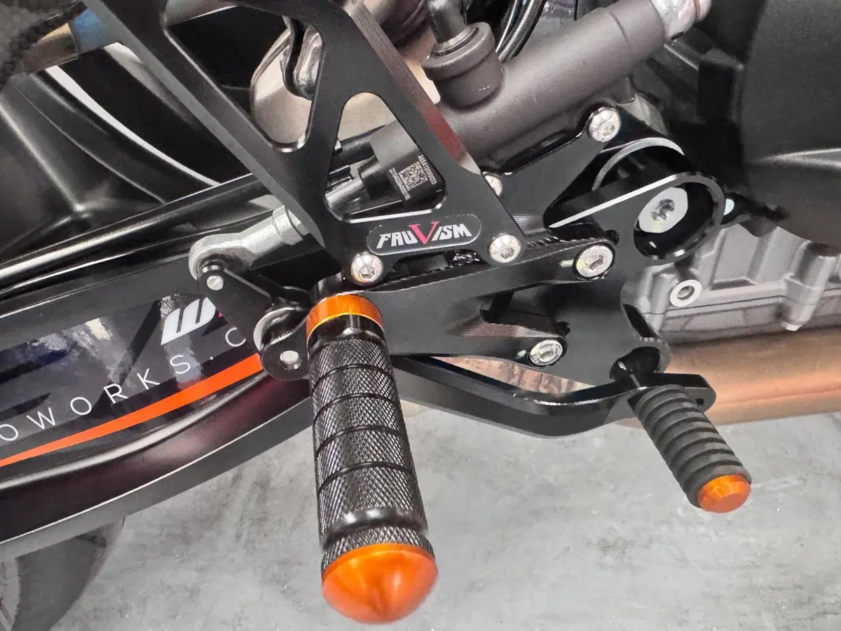 KTM 790 Duke L (2023 - 24) (4)