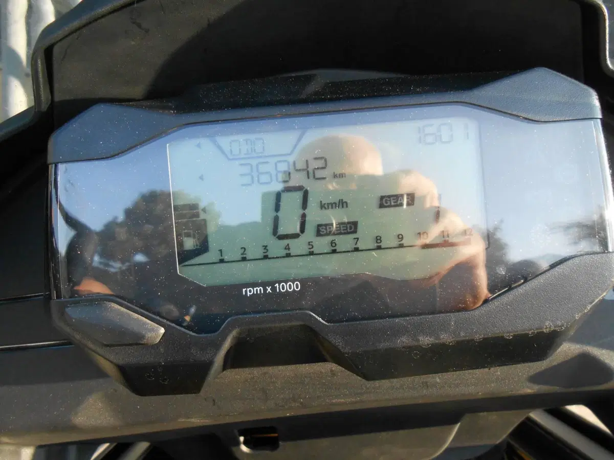 Bmw G 310 GS (2021 - 25) (2)