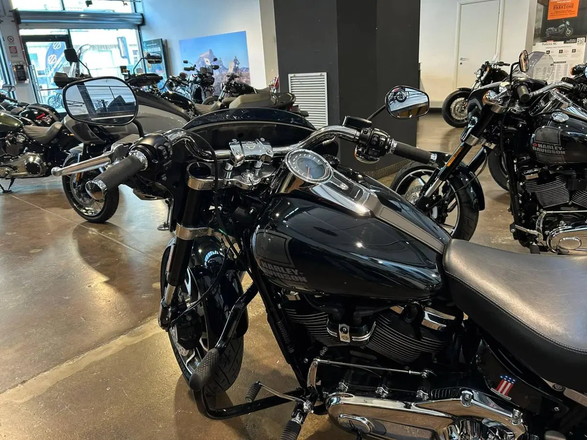 Harley-Davidson 107 Sport Glide (2018 - 20) (2)
