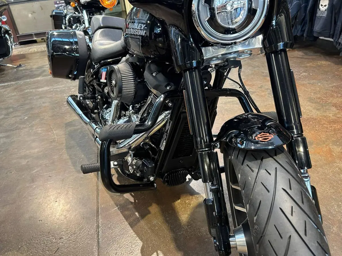 Harley-Davidson 107 Sport Glide (2018 - 20) (4)