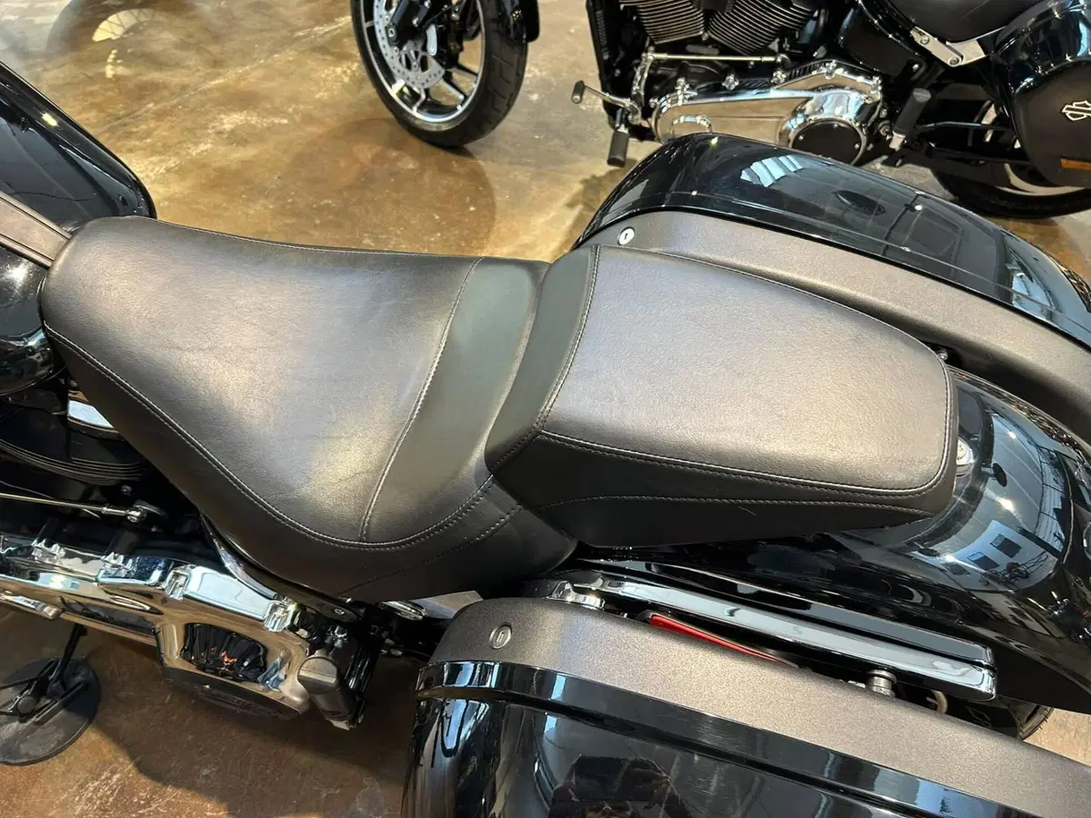 Harley-Davidson 107 Sport Glide (2018 - 20) (5)