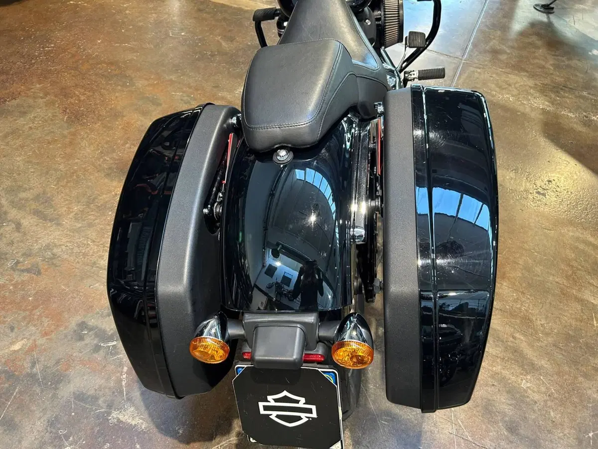 Harley-Davidson 107 Sport Glide (2018 - 20) (7)