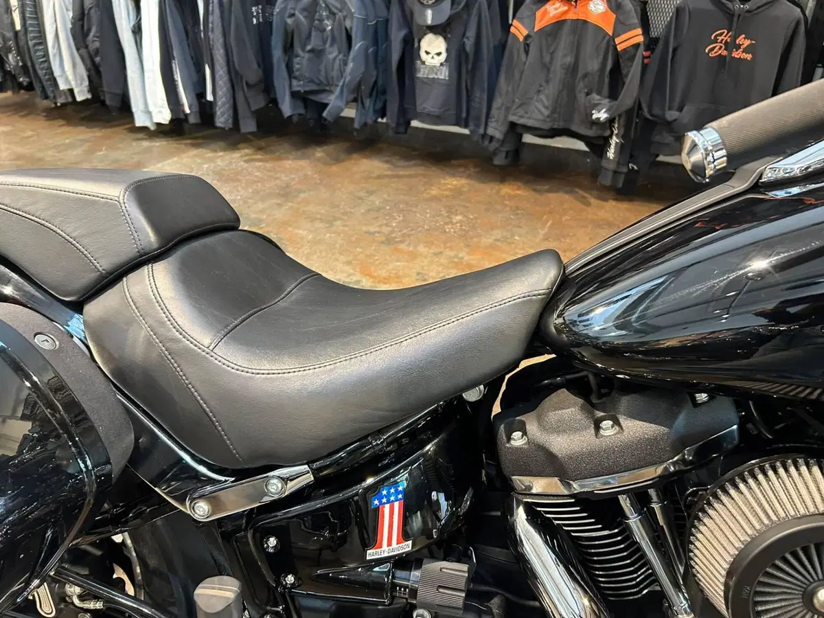 Harley-Davidson 107 Sport Glide (2018 - 20) (8)