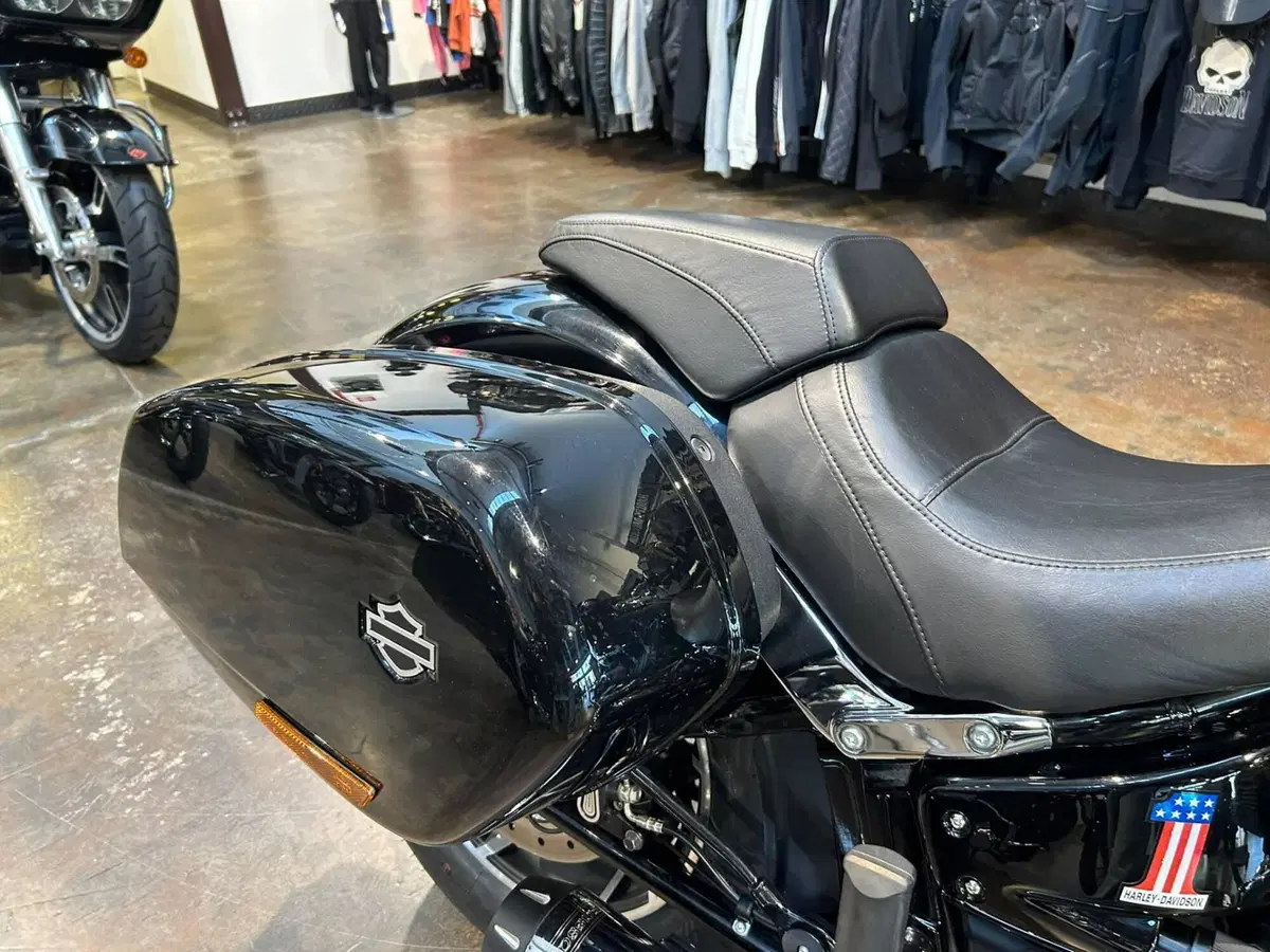Harley-Davidson 107 Sport Glide (2018 - 20) (9)