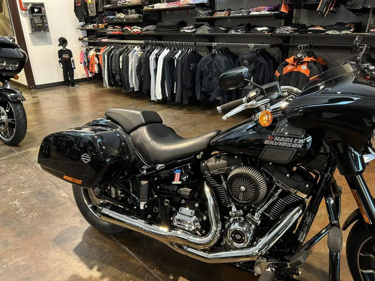 Harley-Davidson 107 Sport Glide (2018 - 20) (12)