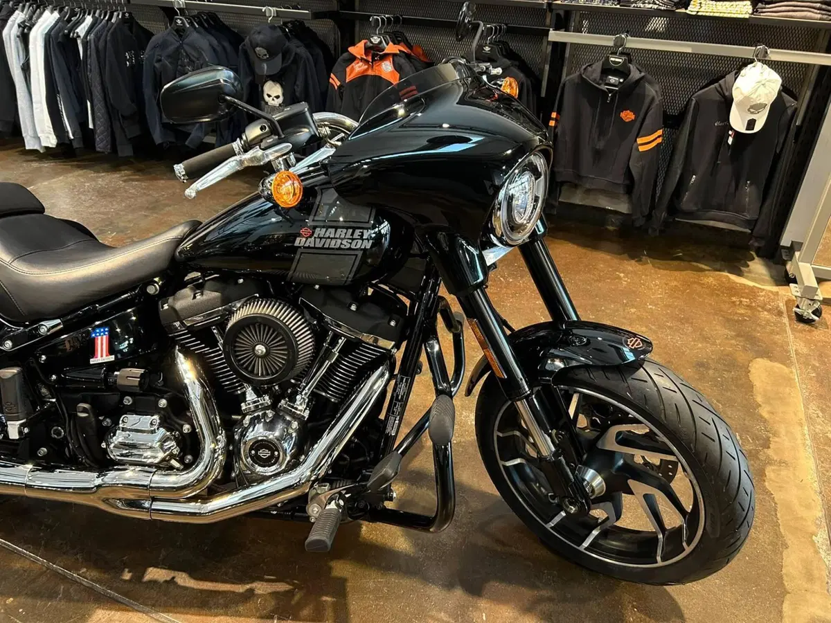 Harley-Davidson 107 Sport Glide (2018 - 20) (13)