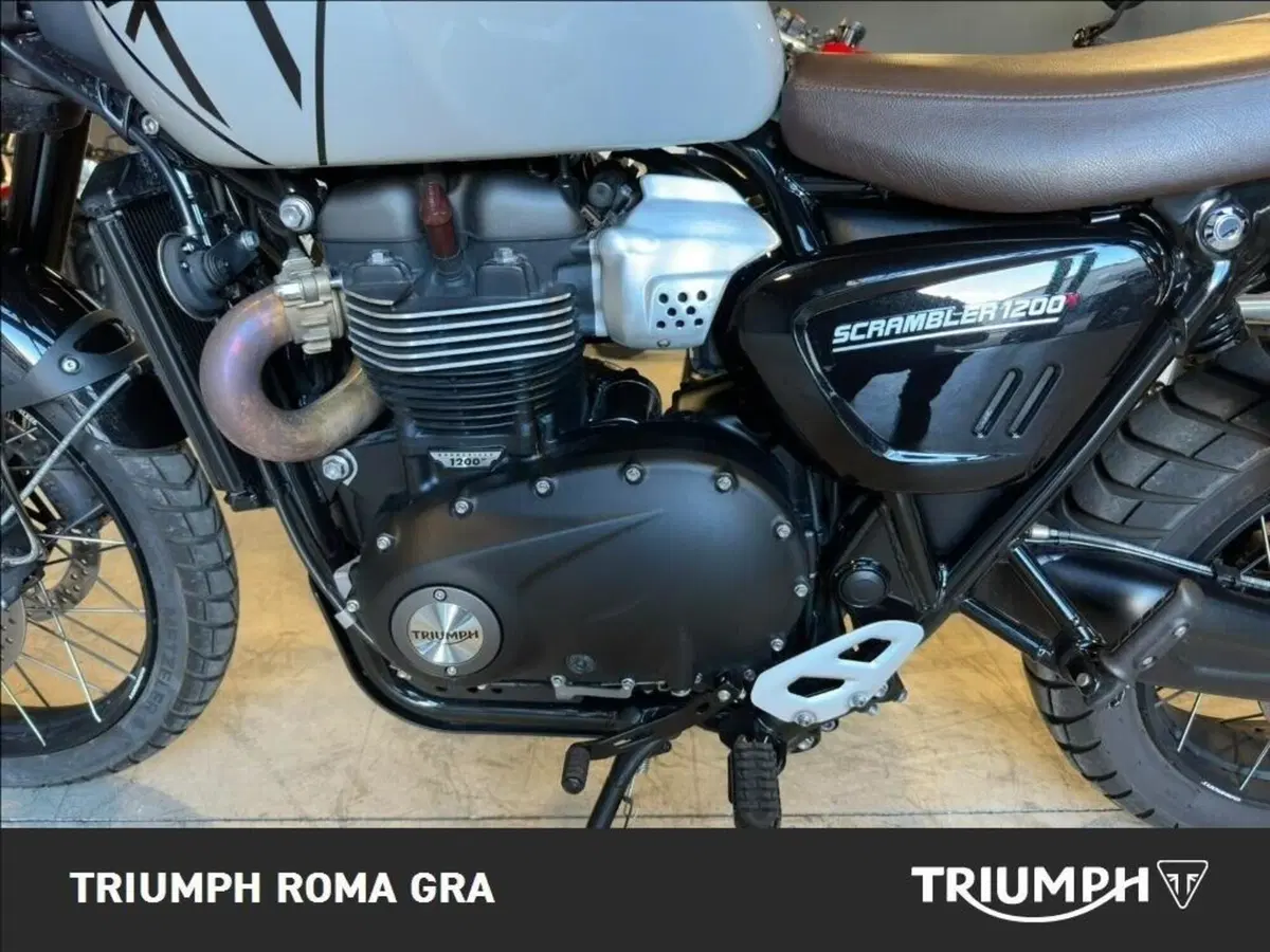 Triumph Scrambler 1200 X (2024 - 26) (9)