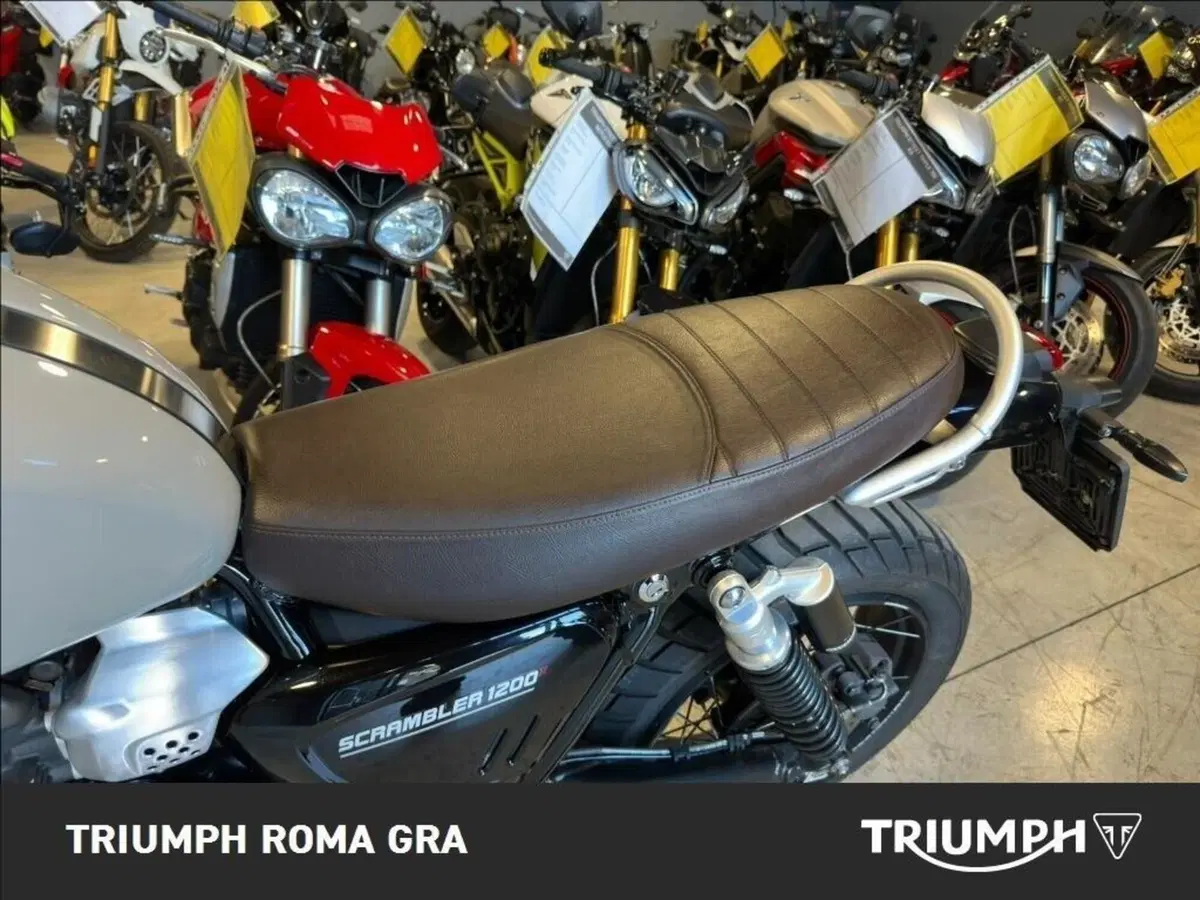 Triumph Scrambler 1200 X (2024 - 26) (17)