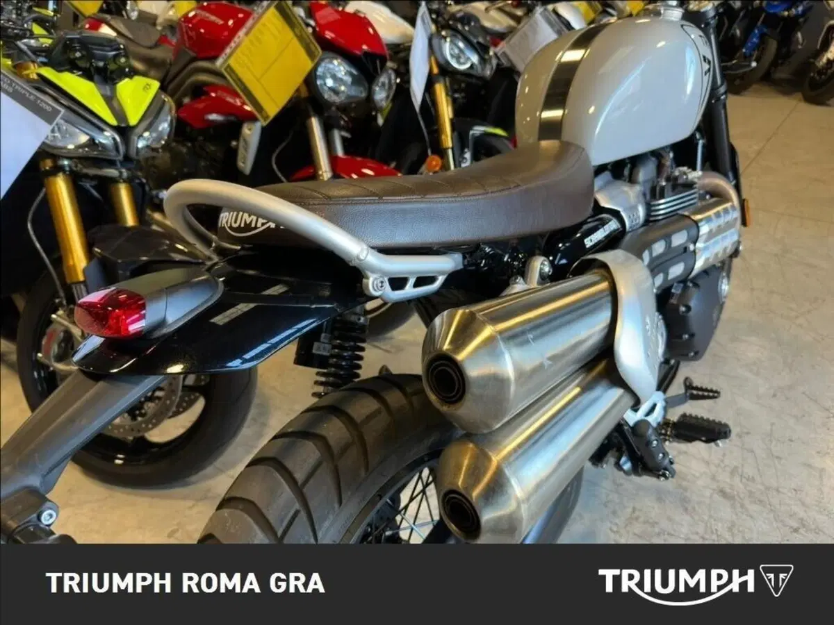 Triumph Scrambler 1200 X (2024 - 26) (18)
